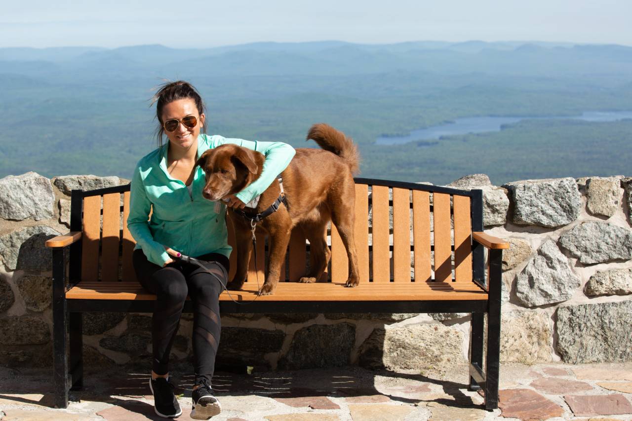 bench dog